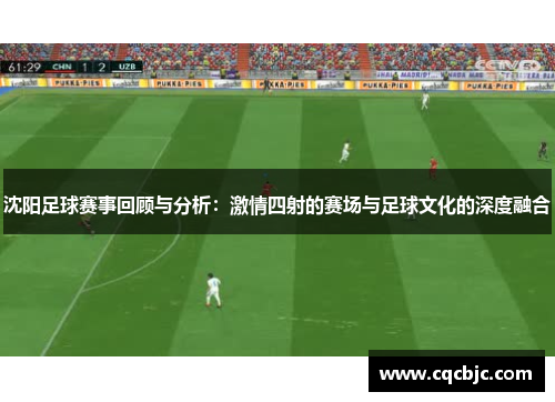 沈阳足球赛事回顾与分析：激情四射的赛场与足球文化的深度融合